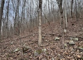 5.08+/-acres Beautiful Views of the Tennessee River