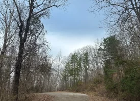 5.08+/-acres Beautiful Views of the Tennessee River