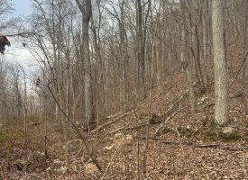 5.08+/-acres Beautiful Views of the Tennessee River