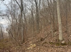 5.08+/-acres Beautiful Views of the Tennessee River