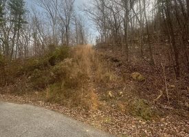 5.08+/-acres Beautiful Views of the Tennessee River