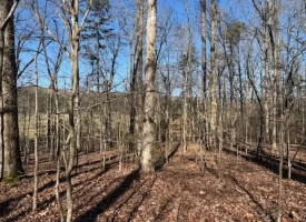5.03+/-acres Unrestricted Wooded Property
