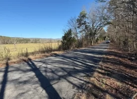 5.03+/-acres Unrestricted Wooded Property