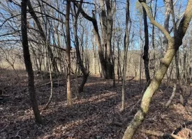 5.03+/-acres Unrestricted Wooded Property