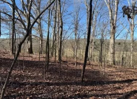 5.03+/-acres Unrestricted Wooded Property