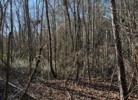 2.40+/-acres Unrestricted wooded property