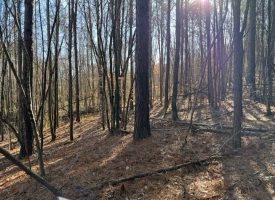 2.40+/-acres Unrestricted wooded property