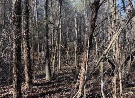 2.40+/-acres Unrestricted wooded property