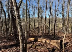 5.1+/-acres unrestricted Wooded Property