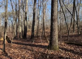 5.1+/-acres unrestricted Wooded Property