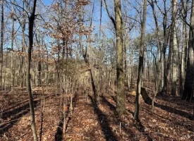 5.1+/-acres unrestricted Wooded Property
