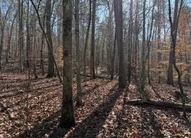 5.1+/-acres unrestricted Wooded Property