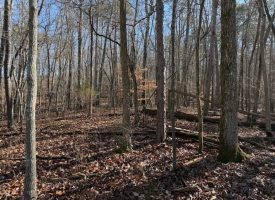 5.1+/-acres unrestricted Wooded Property