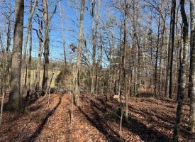 5.1+/-acres unrestricted Wooded Property