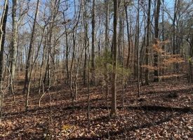 5.1+/-acres unrestricted Wooded Property
