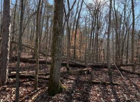 5.1+/-acres unrestricted Wooded Property