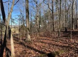 5.1+/-acres unrestricted Wooded Property