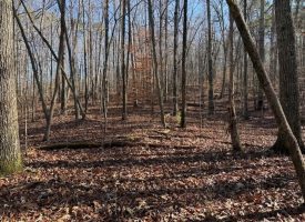 5.1+/-acres unrestricted Wooded Property