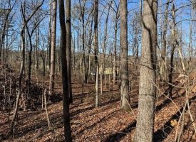 5.1+/-acres unrestricted Wooded Property