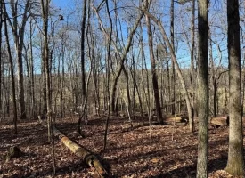 5.1+/-acres unrestricted Wooded Property