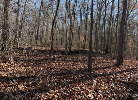 5.1+/-acres unrestricted Wooded Property