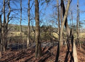 5.1+/-acres unrestricted Wooded Property
