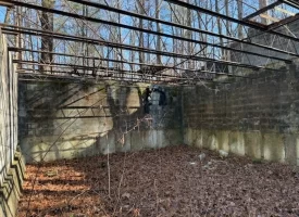 4.89+/-acres Unrestricted Wooded Property