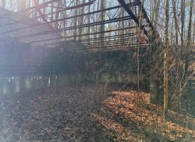 4.89+/-acres Unrestricted Wooded Property