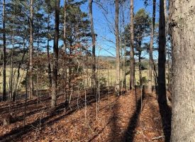 4.89+/-acres Unrestricted Wooded Property