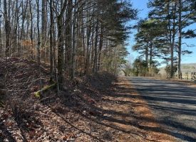 4.89+/-acres Unrestricted Wooded Property