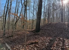 4.85+/-acres Unrestricted beautiful, wooded property.