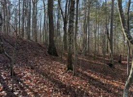 4.85+/-acres Unrestricted beautiful, wooded property.