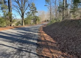 4.85+/-acres Unrestricted beautiful, wooded property.