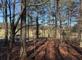 4.85+/-acres Unrestricted beautiful, wooded property.