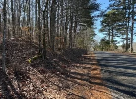 4.85+/-acres Unrestricted beautiful, wooded property.