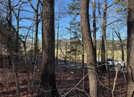 4.85+/-acres Unrestricted beautiful, wooded property.