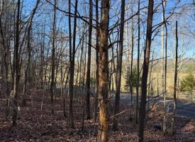 5.12+/-acres Unrestricted beautiful, wooded property.
