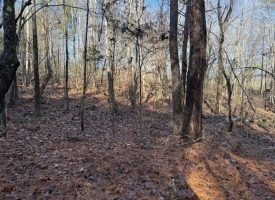 5.12+/-acres Unrestricted beautiful, wooded property.