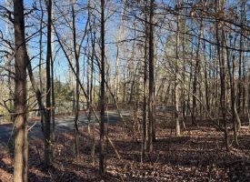 5.12+/-acres Unrestricted beautiful, wooded property.