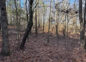 5.12+/-acres Unrestricted beautiful, wooded property.