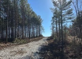 Discover a rare opportunity to own 5.08+/-scenic acres in Grundy County, TN