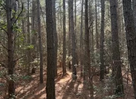 5.03+/- acres with beautiful Creek in Grundy County, Tennessee