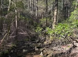 5.03+/- acres with beautiful Creek in Grundy County, Tennessee