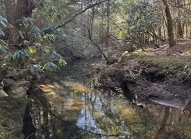 5.03+/- acres with beautiful Creek in Grundy County, Tennessee