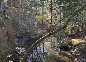 5.03+/- acres with beautiful Creek in Grundy County, Tennessee