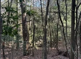 5.03+/- acres with beautiful Creek in Grundy County, Tennessee