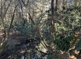 5.03+/- acres with beautiful Creek in Grundy County, Tennessee