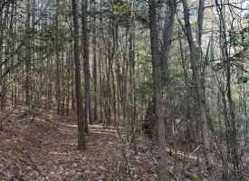 5.06+/-acres Beautiful Creek Property