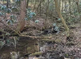 5.06+/-acres Beautiful Creek Property