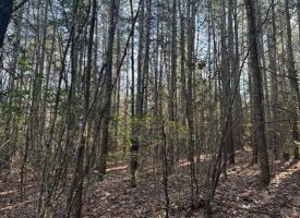 5.06+/-acres Beautiful Creek Property